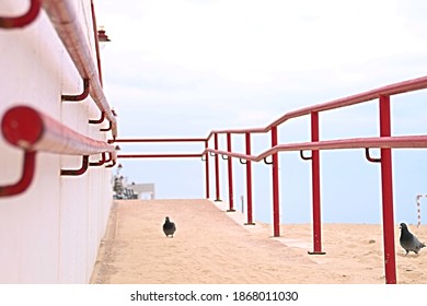 A red walkway with a dove and white background