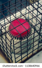 Red Warning Light In Cage