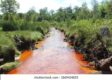 Red Water Flows Across Peat Land