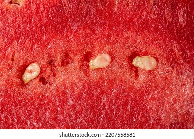 Red Water Melon Texture Macro Still