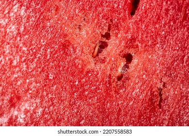 Red Water Melon Texture Macro Still