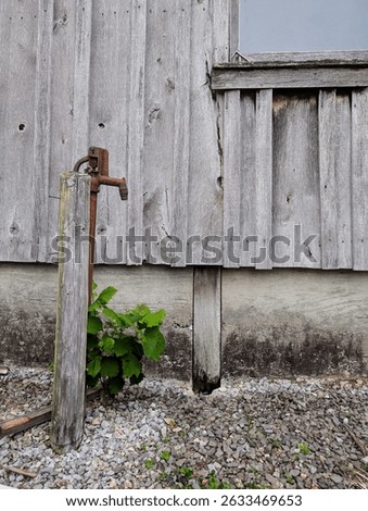 A red water spigot and a tree seedling in gravel in front of a rustic weathered wooden board and batten building with a window