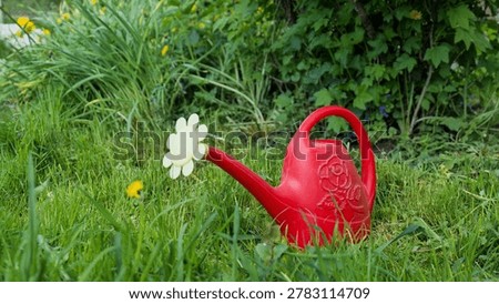 Red watering can standing on green grass in garden outdoors