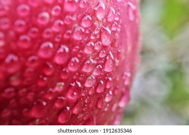 Manzana Gotas Imagenes Fotos De Stock Y Vectores Shutterstock