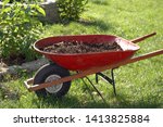 Red wheelbarrow filled with compost materials, ready for the garden beds.