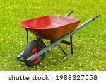 Red wheelbarrow on lawn with dandelions