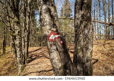 Red and white arrows painted on tree bark deep in the mountain forest of Risnjak national park, showing the way on the hiking trail Imagine de stoc © 