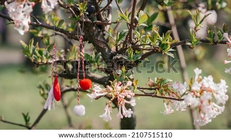 Red and white beautiful martisor hanging on the branches of the blooming tree. Martenitsa beginning of spring celebration. Moldova, Romania and Bulgaria tradition.