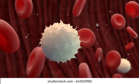 Red and White Blood Cells in a Vein