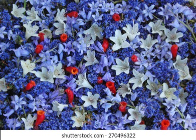 Fourth Of July Flowers Stock Photos Images Photography Shutterstock