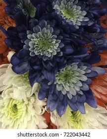 Red, White, And Blue Flowers