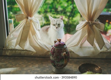 a red and white cat is looking through the window with beige curtains into the kitchen 