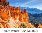 The red and white colors of the rocks are beautiful. Bryce Canyon National Park in the USA, Utah. Unique geological structures of hoodoos. Magnificent Giant Candle. Pine and spruce trees 