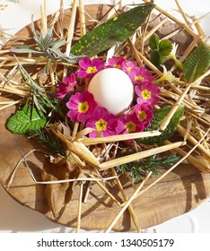 Red and white Easter egg decorated with wild herbs and straw in nest