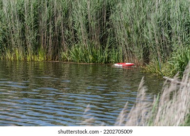 A Red And White Life Bouy Floading In The Reeds Of A Moat.