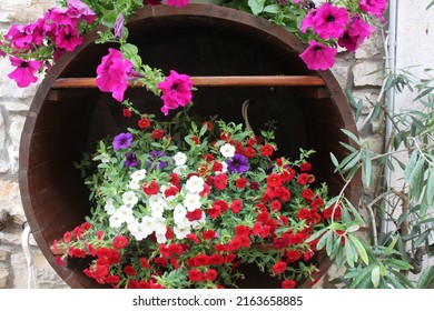 Red, White And Pink Petunia Decorated In A Wine Barrel. On The Right Side Leaves Of An Olive Tree.