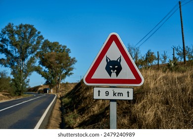 red and white road warning sign of Iberian Lynx, Lynx pardinus, a Wild Cat Species Endemic to the Iberian Peninsula in Spain and Portugal, highly threatened and close to extinction.