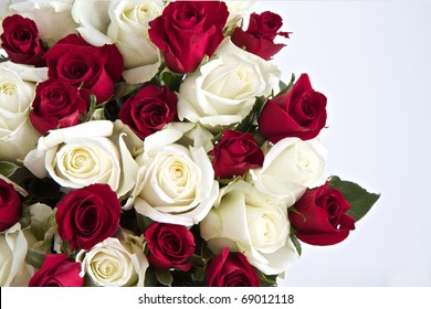 Red And White Roses High Res Stock Images Shutterstock