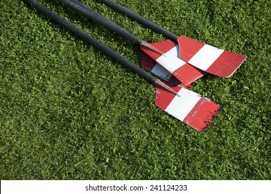 Red And White Rowing Oars Rest In Bright Green Summer Grass