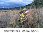 Red and white sign of the GR footpaths and yellow arrow of Camino de Santiago. Espa–a   