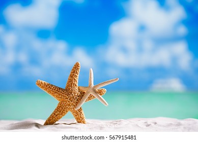 red and white starfish with ocean, on white sand beach, sky and seascape, shallow dof