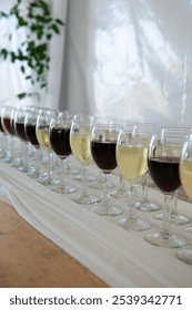 Red and white wines displayed together