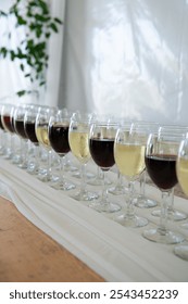 Red and white wines displayed together in row