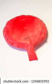 A Red Whoopee Cushion Prank Toy