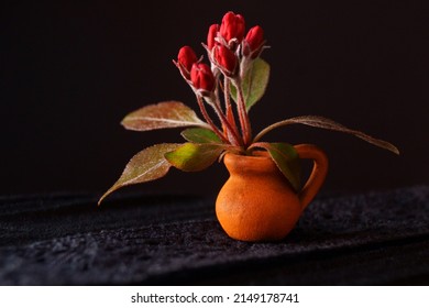 Red Wild Apple Blossoms; Malus Sylvestris