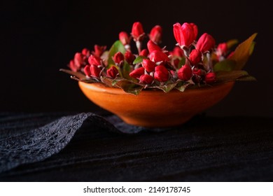 Red Wild Apple Blossoms; Malus Sylvestris