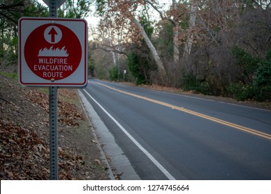 Red Wildfire Evacuation Route Sign With Ahead Arrow That Point In The Correct Direction Of Voluntary Or Mandatory Egress On Two-way Rural Road In California