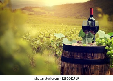 Red Wine With Barrel On Vineyard In Green Tuscany, Italy 