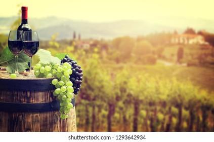 Red wine with barrel on vineyard in green Tuscany, Italy 