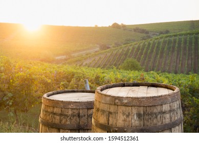 Red Wine With Barrel On Vineyard In Green Tuscany, Italy