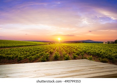 Red Wine With Barrel On Vineyard In Green Tuscany, Italy