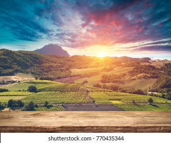 Red Wine With Barrel On Vineyard In Green Tuscany, Italy