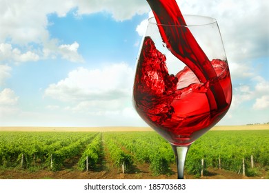 Red Wine Being Poured Into Wineglass On Background Of Vineyard In Crimea 