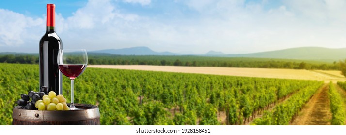 Red wine bottle, glass and grapes on wine barrel in front of landscape of vineyard. Sunny summer day. French countryside valley