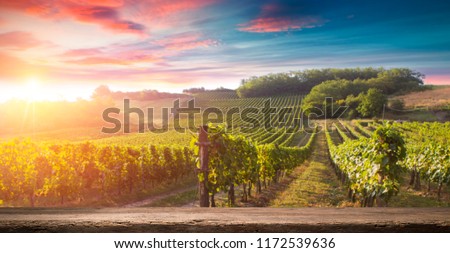 Red wine bottle and wine glass on wodden barrel. Beautiful Tuscany background
