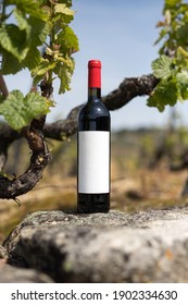 Red Wine Bottle With Red Neck And White Label With Vineyard Backdrop