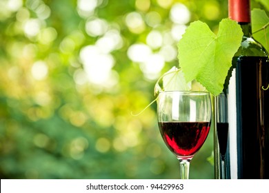 Red Wine Bottle, One Glass And Young Vine Against Natural Spring Background