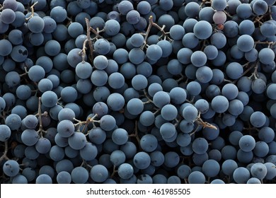 Red  Wine Grapes Background 