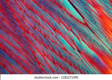 Rotwein unter einem Mikroskop, Merlot. Das Foto zeigt Kristalle von gefrorenem Wein in polarisiertem Licht.