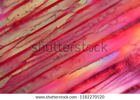 Red wine under a microscope, Tempranillo. The photo shows crystals of frozen wine in polarized light.