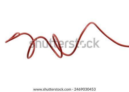 red wire cable of usb and adapter isolated on white background with clipping path.Electronic Connector.Selection focus.
