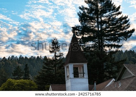 Red Wood trees towers above the roof tops of homes in small town Guerneville California. 