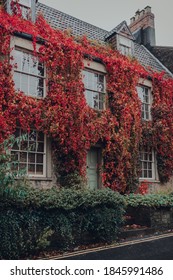 Red And Yellow Foliage Over The Old Stone House In Frome, Somerset, UK.