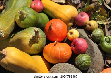 Red, Yellow, Green Vegetables And Fruits On A Tree Stump In The Yard Top View. Bright Autumn Harvest