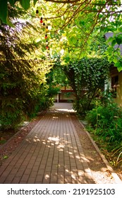 Red And Yellow Light Bulbs Garland Over The Path In The Garden. Garden In The Backyard Of The House. Landscape Design.