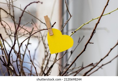 Red Or Yellow Paper Heart Attached By Tree Branches From A Vase, In The House. Heart Attached With Wooden Clothes Pin. Home Decoration. Dry Branches. Blue Background Or Near The Window. Love, 